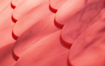 Gadlys plastic roof costs